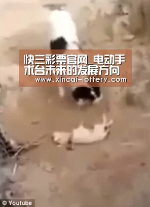 快三彩票开奖查询
