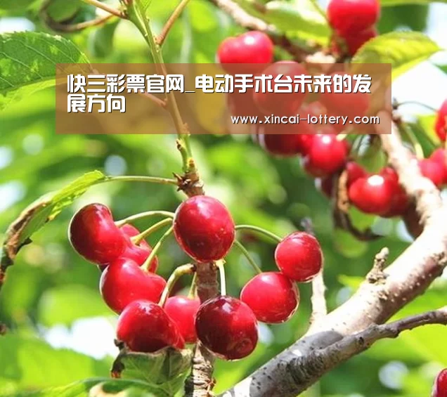 快三彩票官网