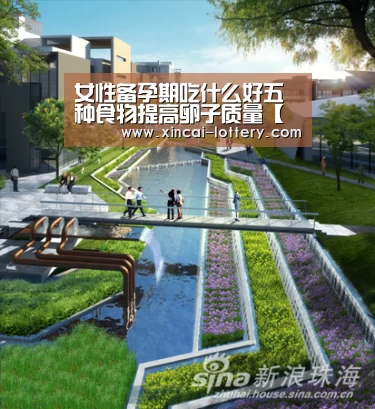 女性备孕期吃什么好五种食物提高卵子质量【快三彩票官网】(图2) 快三彩票走势分析